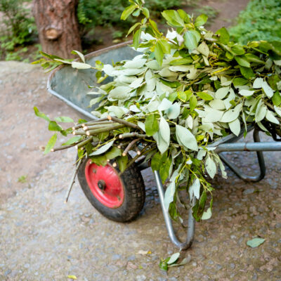A garden steel trolley with cut flowers. End of the summer season. Autumn cleaning in the garden. End of the summer season. Wheelbarrow with branches and leaves.Copy space